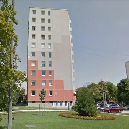 Zsuzsi *